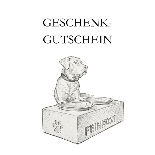 Geschenkgutschein von PAWTERY Design, Skizze eines Labradors an einem Napfhalter aus Beton mit eingegossenem Namen