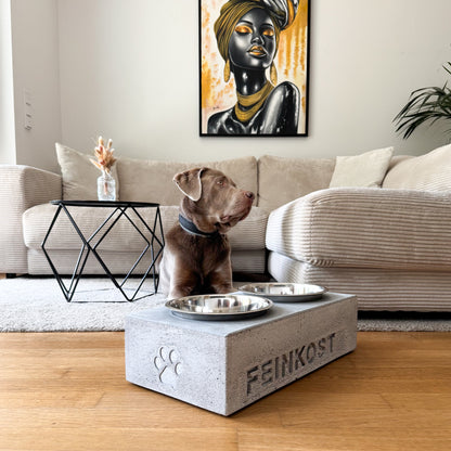 Hundenapf aus grauem Beton mit eingegossenem Namen, erhöht, davor ein Labrador im Wohnzimmer