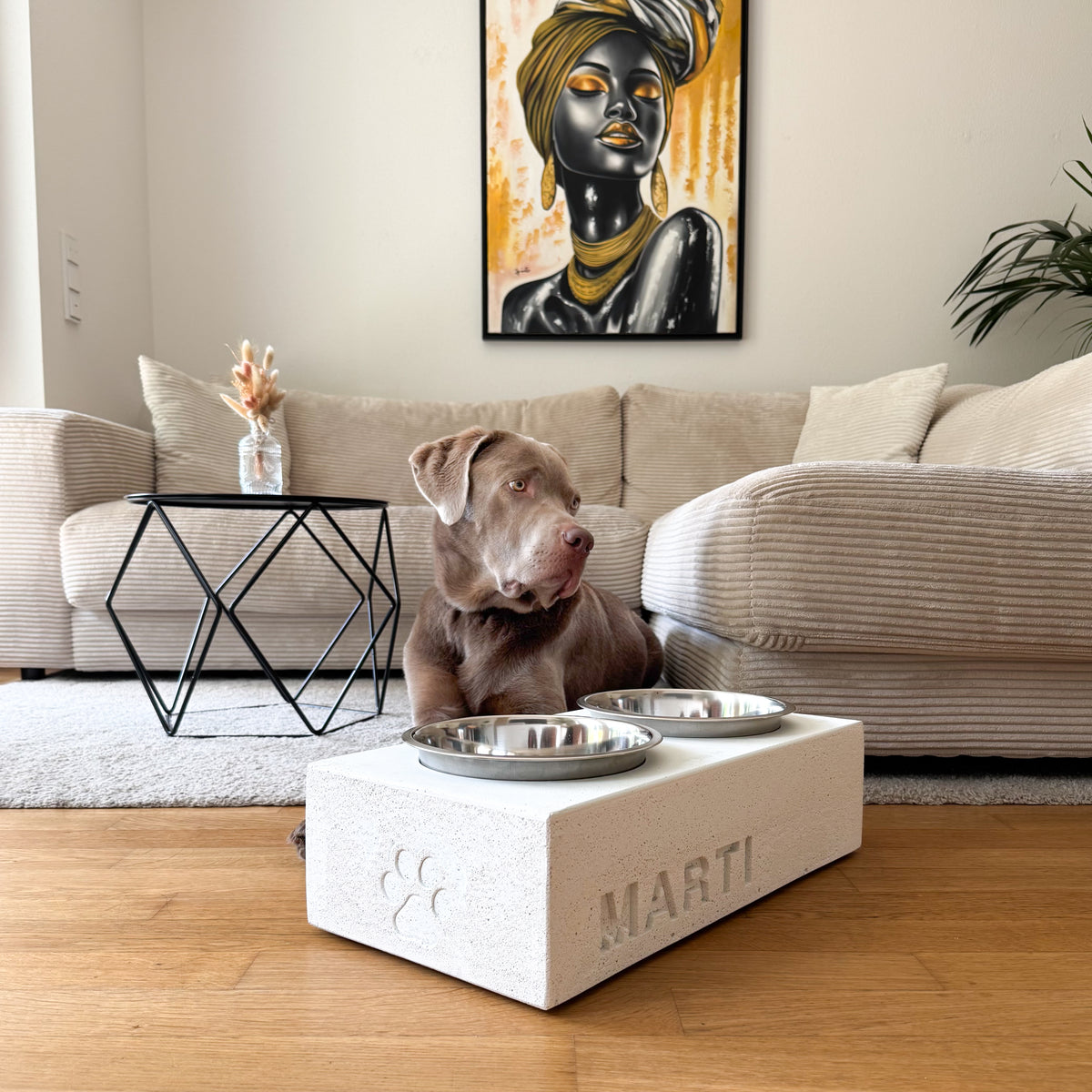 Hundenapf aus hellem Beton mit eingegossenem Namen, erhöht, davor ein Labrador im Wohnzimmer